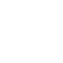 Cyber Investigation